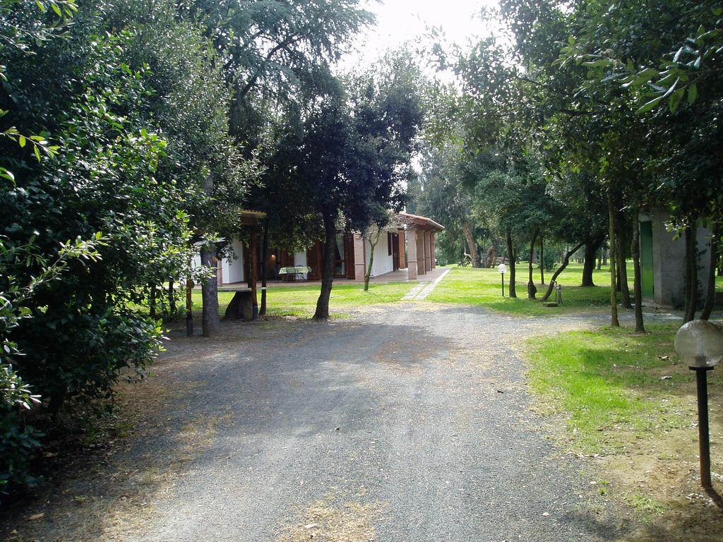 Apartment Il Vivaio
